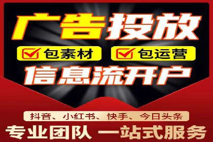 SEM主管实战：案例分析与优化策略